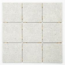 PAST-10X10-OMD-14878-NEREU-ATLAS-CX-140M2-LA-M20001M2