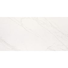 Porcelanato-50x101cm-Giotto-Polido-Elizabeth