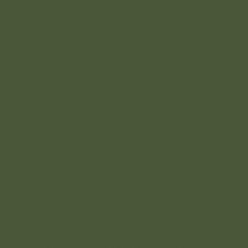 Pastilha-10x10cm-Verde-Escuro-Brilhante-Tipo-A-Tecnogres