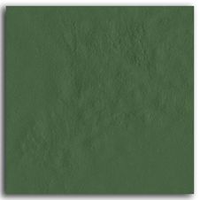 Porcelanato-21x21cm-Amb-Amazonia-Acre-Brilhante-Tipo-A-Decortiles