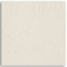 Porcelanato-55.4x55.4cm-Amb-Amazonia-Alter-Brilhante-Tipo-A-Decortiles