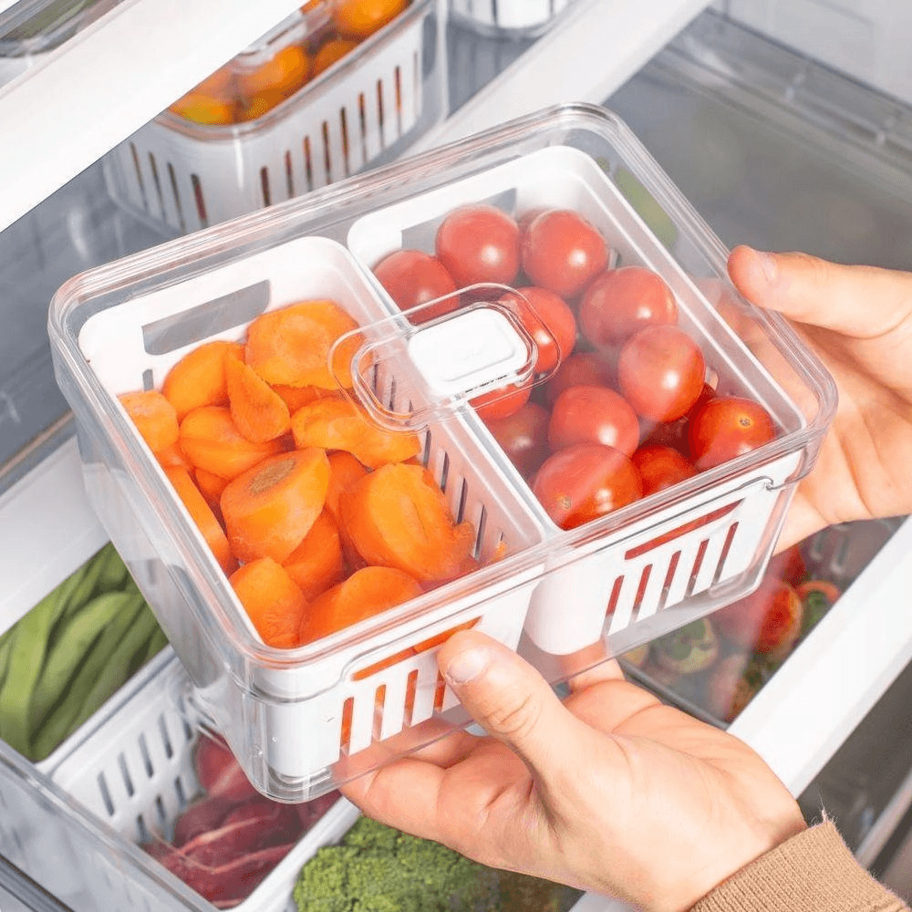 ORGANIZADOR-CLEAR-FRESH-COM-DOIS-CESTOS-22L---OU--1-.png